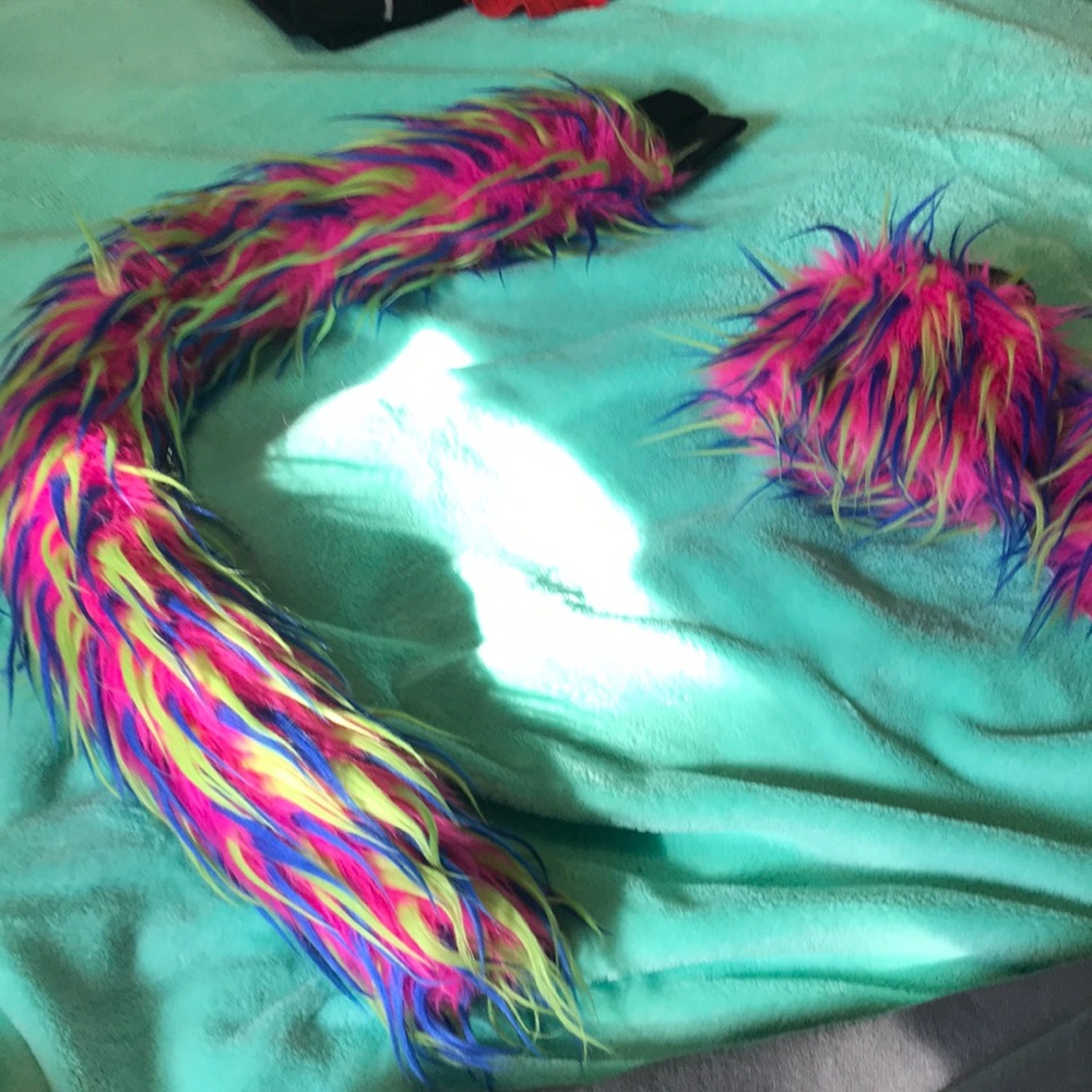 Colorful cat tail!